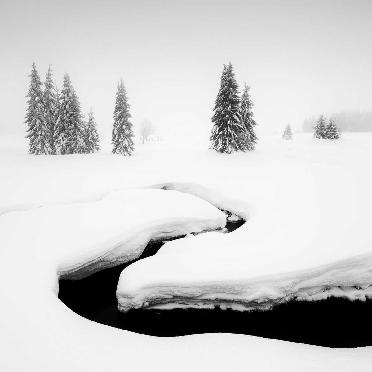 Martin Rak | esíčko