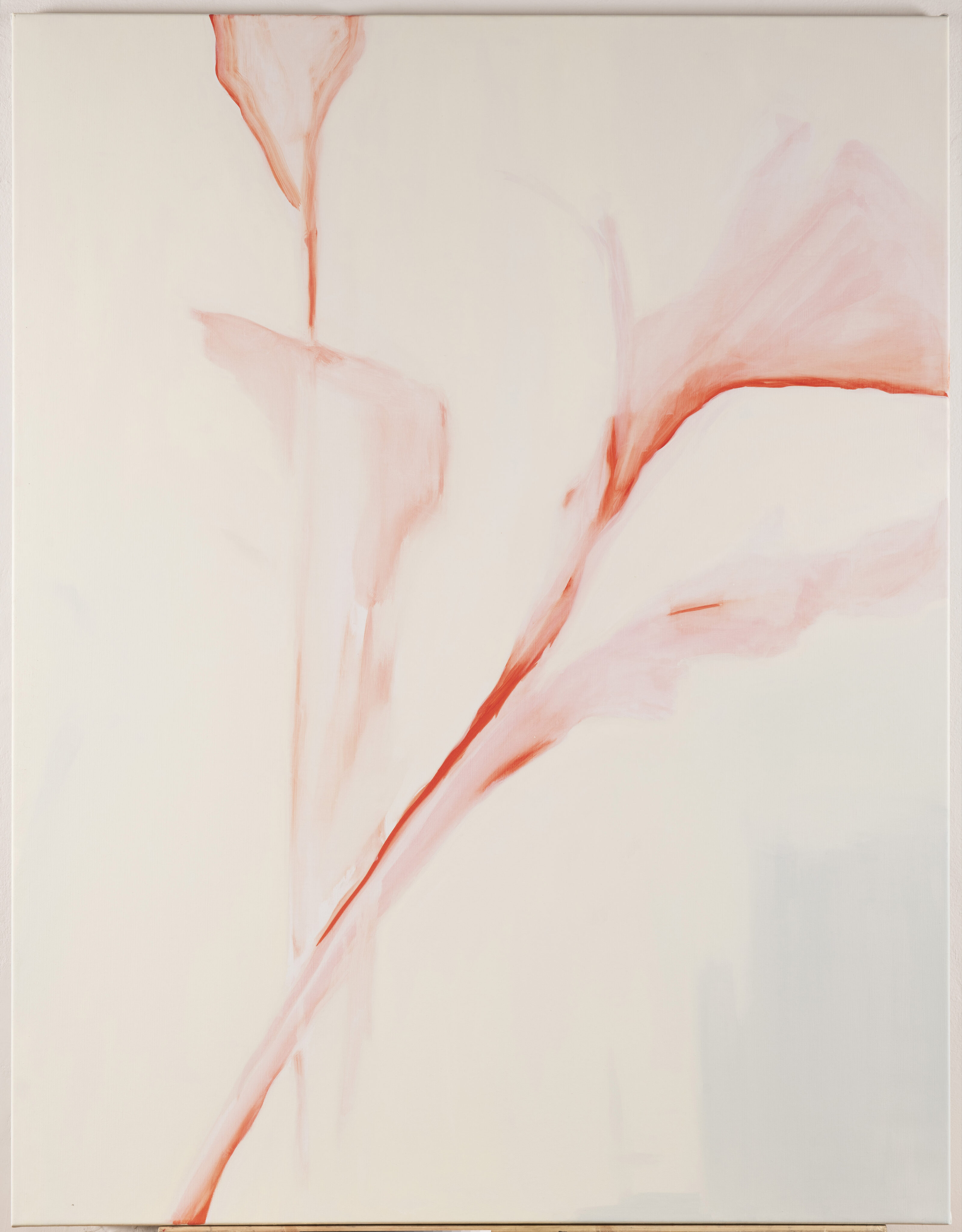 Petra Švecová | No. 99 Untitled