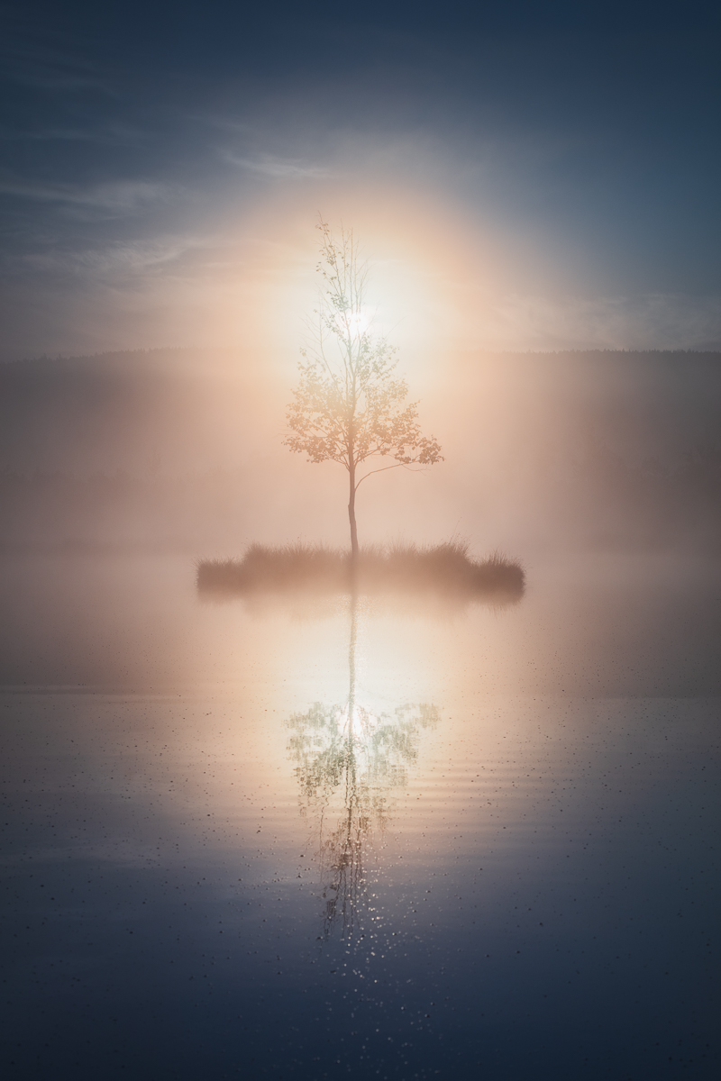 Martin Rak | Morning Glow