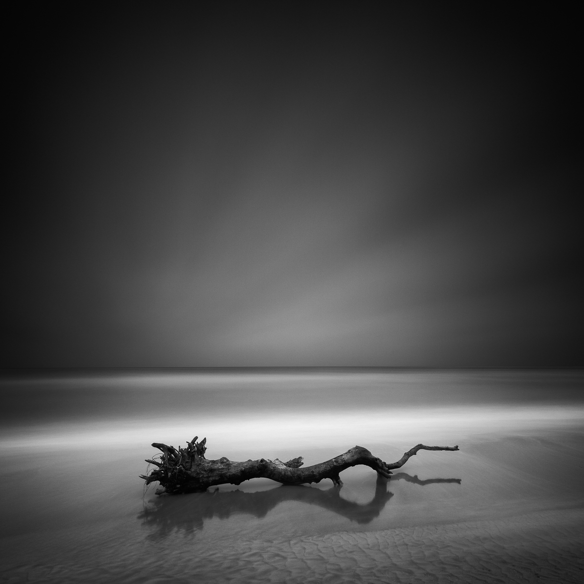 Martin Rak | Serpent