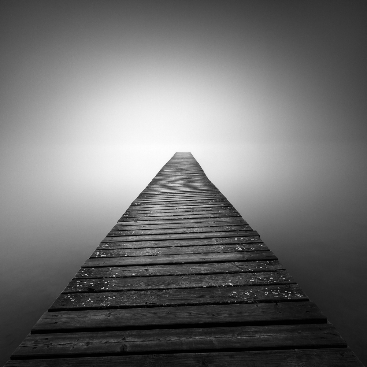 Martin Rak | Way of Light